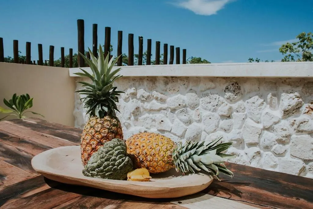 4 Story Villa, Private Pool & Jungle Rooftop Tulum Holiday home